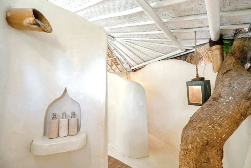 Bamboo Suite 4